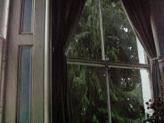 DSCN9793.jpg