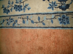 DSCN9820.jpg