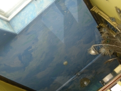 DSCN9832.jpg