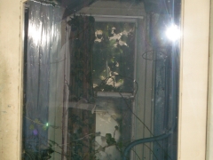 DSCN9884.jpg