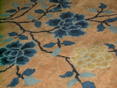 DSCN9892.jpg