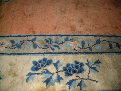DSCN9895.jpg