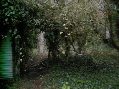 DSCN9899.jpg