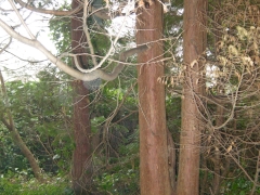 DSCN9901.jpg