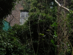 DSCN9904.jpg