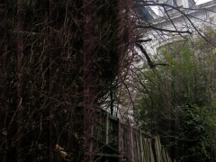 DSCN9911.jpg