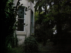 DSCN9921.jpg