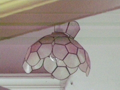 DSCN9933.jpg