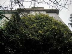 FSCN9907.jpg