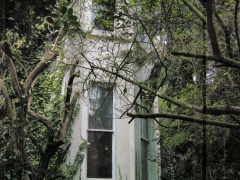 FSCN9910.jpg