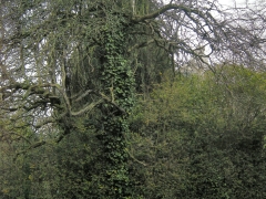 FSCN9916.jpg