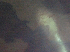 RSCN9810.jpg