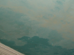 RSCN9853.jpg
