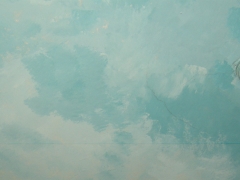 RSCN9854.jpg