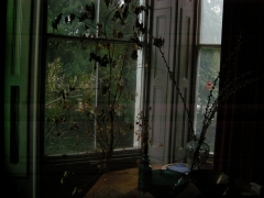 RSCN9859.jpg