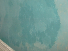 RSCN9861.jpg