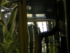 RSCN9885.jpg
