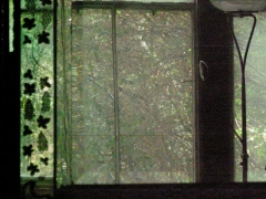 RSCN9887.jpg