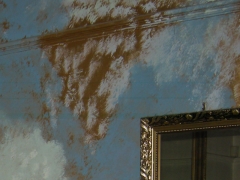 RSCN9894.jpg