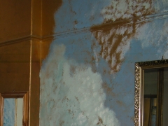 RSCN9896.jpg