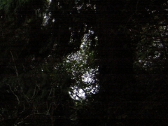 RSCN9923.jpg