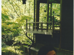 Fanchon in Kyoto, Japan.png