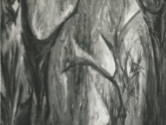 Scan 37.jpeg