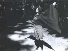 Fanchon with wings